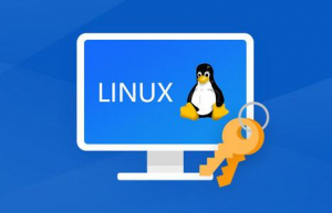 Linux系统下备份分区表和MBR具体方法