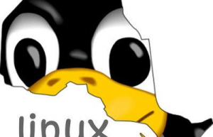 Linux系统yum命令详解