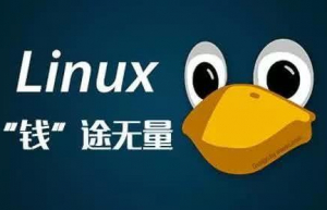 Linux查看服务器配置命令