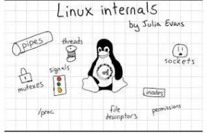 Linux查看内存使用情况的命令