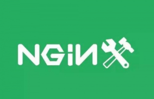 Linux系统查看NGINX 版本信息命令