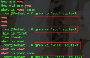 Linux grep 命令具体使用方法