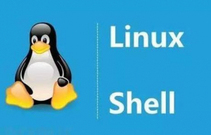 Linux下查看环境变量