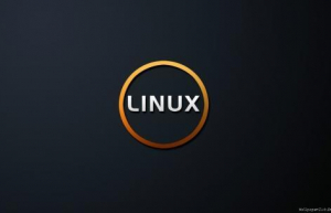 Linux下如何查看端口监听状态