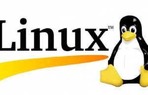 Linux查看系统版本