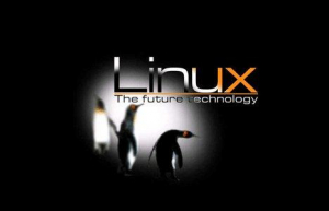 Linux查看系统配置