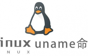 Linux常用命令uname命令具体使用方法