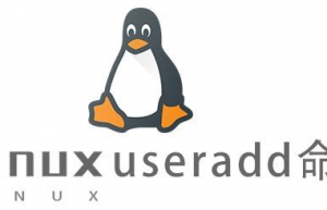 Linux常用命令useradd命令具体使用方法