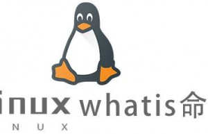 Linux常用命令whatis命令具体使用方法