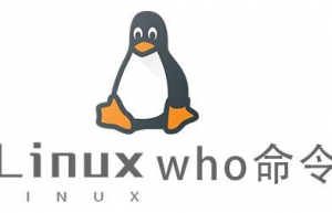 Linux常用命令who命令具体使用方法