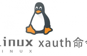 Linux常用命令xauth命令具体使用方法