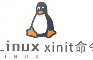 Linux常用命令xinit命令具体使用方法