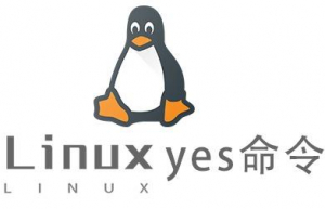 Linux常用命令yes命令具体使用方法