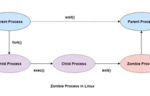 讲解一下Linux 中僵尸进程